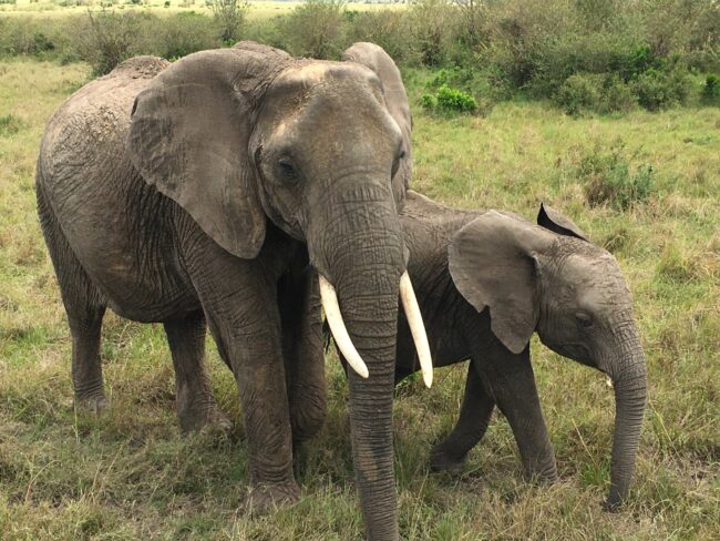 my-travel-with-purpose-org (38)1