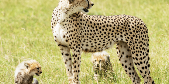 Screenshot 2025-12-05 at 3.58.27 PM